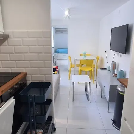 Apartment Summer Joy